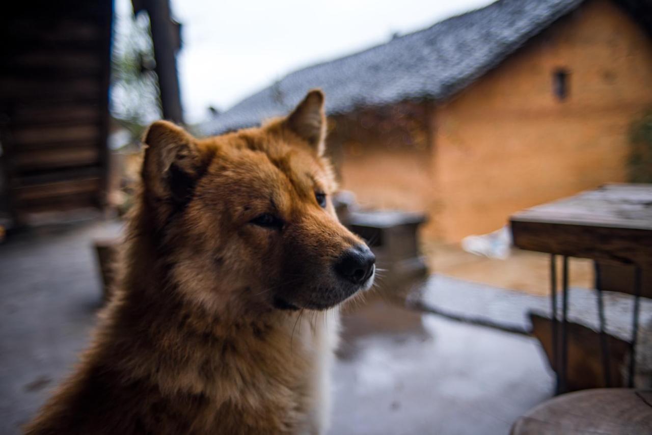 Ma Le Homestay Донг Ван Екстериор снимка